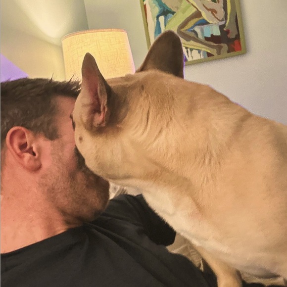 Meet your Posher, Corey and my Frenchy sunny.. - Picture 5 of 6